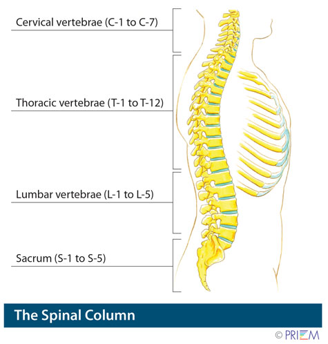 minimally invasive spine surgery san jose